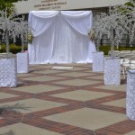 Platinum Wedding Decor by SBD Event Designs - Crystal Trees, Backdrop with Crystal Curtains, White Wedding, Outdoor Weddings